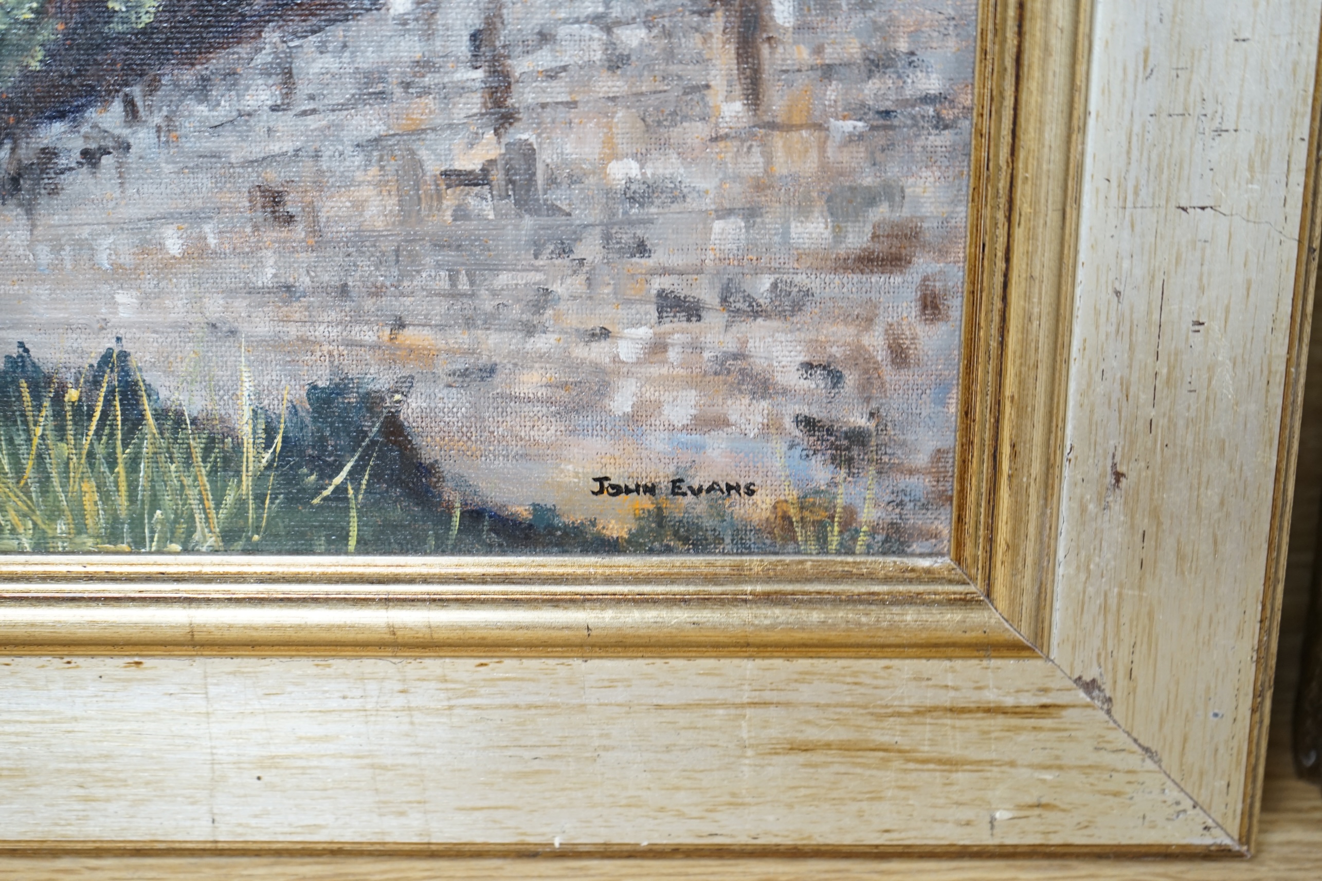 John Evans (20th. C), oil on canvas board, ‘Knole Park’, signed, 24 x 34cm. Condition - good, would benefit from a clean